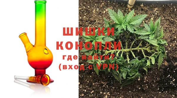 трава Новозыбков