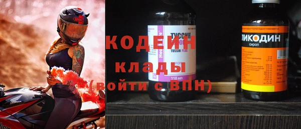 трава Новозыбков