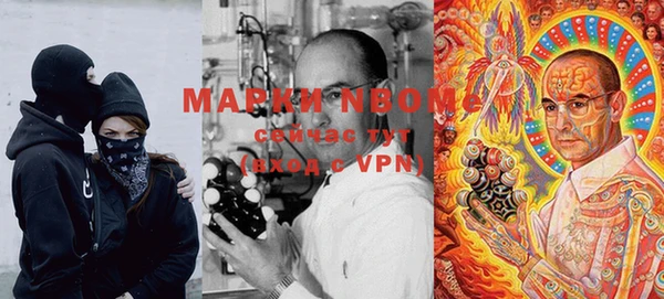 трава Новозыбков