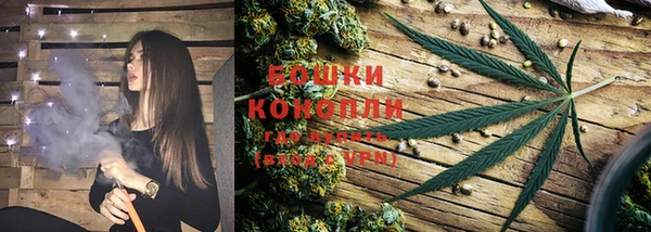 трава Новозыбков