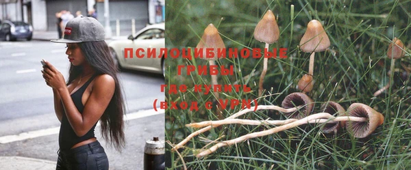экстази Новокубанск