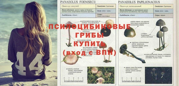 ALPHA PVP Яровое
