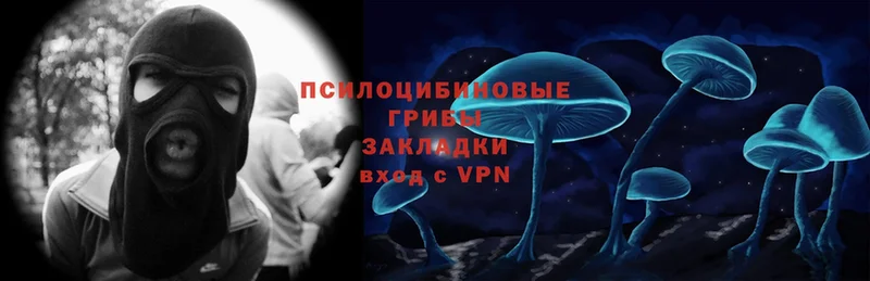 Галлюциногенные грибы Cubensis  как найти закладки  Аркадак 