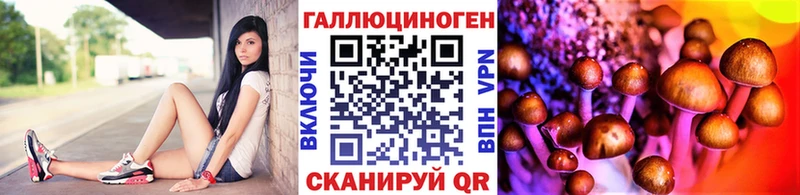Галлюциногенные грибы ЛСД  Аркадак 